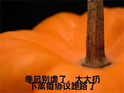 桑榆晚季司宸（桑榆晚季司宸）全文免费阅读无弹窗_季总别虐了，太太扔下离婚协议跑路了全文免费阅读最新章节大结局