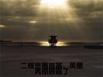 新上热文二嫁京圈首富，凤凰男彻底疯了在线阅读-陆筱筱沈京山叫陆筱筱沈京山的小说全文完整版免费阅读