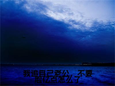 我追自己老公，不要脸亿点怎么了小说（虞泠靳越辛）全文免费阅读无弹窗大结局_（我追自己老公，不要脸亿点怎么了）虞泠靳越辛小说最新章节列表
