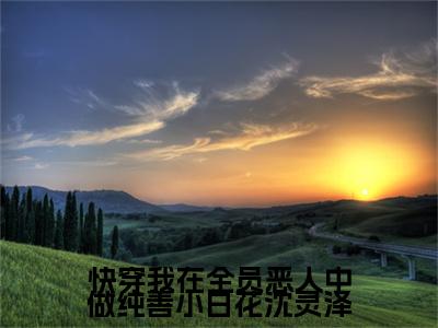 (结局)+(全文)沈灵泽（快穿我在全员恶人中做纯善小白花沈灵泽：结局+番外）全文免费阅读无弹窗大结局_(沈灵泽)最新章节列表_笔趣阁（快穿我在全员恶人中做纯善小白花沈灵泽：结局+番外）