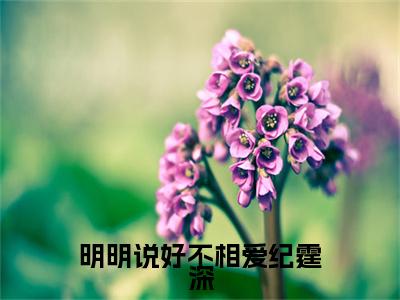 叶落纪霆深小说(明明说好不相爱纪霆深)序章+全章阅读（叶落纪霆深）最新章节