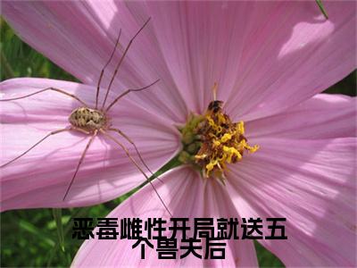 恶毒雌性开局就送五个兽夫后（萧锦笙）全文免费阅读无弹窗大结局_（萧锦笙小说免费阅读）最新章节列表_笔趣阁