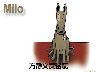 (番外)+(结局)方静文贺铭磊(方静文贺铭磊：结局+番外)全文免费阅读无弹窗大结局_(方静文贺铭磊)最新章节列表_笔趣阁(方静文贺铭磊方静文贺铭磊：结局+番外)