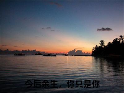 今后余生，你只是你：结局+番外顾言言方谨一小说全文无删减版在线阅读-最新小说今后余生，你只是你：结局+番外小说全文阅读