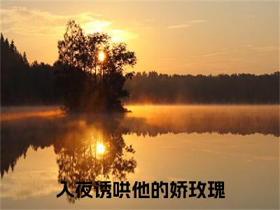入夜诱哄他的娇玫瑰小说最新章节（舒苒裴津西）全文免费阅读无弹窗大结局_舒苒裴津西免费阅读（入夜诱哄他的娇玫瑰小说）