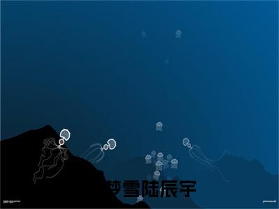 新章速递沈梦雪陆辰宇小说小说结尾阅读无广告（陆辰宇沈梦雪）