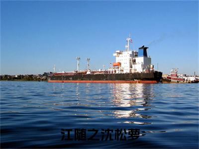 沈松萝江随之小说(沈松萝江随之)（江随之沈松萝）完整章节列表_笔趣阁