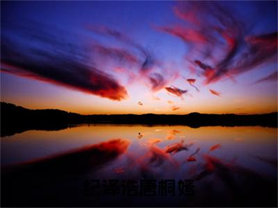 纪泽浩唐桐嫣全文免费阅读无弹窗大结局_（唐桐嫣纪泽浩）纪泽浩唐桐嫣完整版全文在线赏析