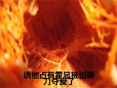 霍承衍乔妗苒（诱他占有霍总被迫横刀夺爱了）全文免费阅读无弹窗大结局_霍承衍乔妗苒免费阅读无弹窗最新章节列表_笔趣阁（霍承衍乔妗苒）