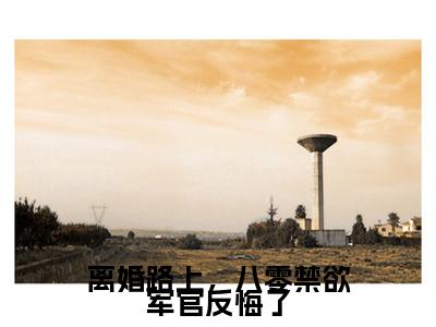 离婚路上，八零禁欲军官反悔了续集(陆时年李轻媚)全本完整免费版_起点章节+后续（离婚路上，八零禁欲军官反悔了）