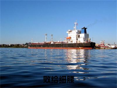 败给细腰沈沐颜秦宴洲续集起点章节+全书阅读（沈沐颜秦宴洲）书荒必看