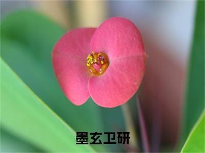 墨玄卫研免费（卫研墨玄）最新章节_墨玄卫研免费全文阅读