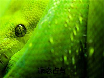 病态占有（肃连城梁朝前文+后续）全文免费阅读无弹窗大结局_(病态占有肃连城梁朝前文+后续)最新章节列表_笔趣阁（肃连城梁朝前文+后续）