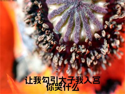 热门章节_笔趣阁（楚疆秦苏）楚疆秦苏小说(让我勾引太子我入宫你哭什么)章节在线阅读
