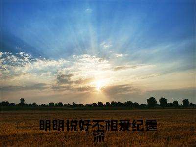明明说好不相爱纪霆深小说（叶落纪霆深）全文免费阅读无弹窗大结局_明明说好不相爱纪霆深完整版最新阅读_笔趣阁（叶落纪霆深）