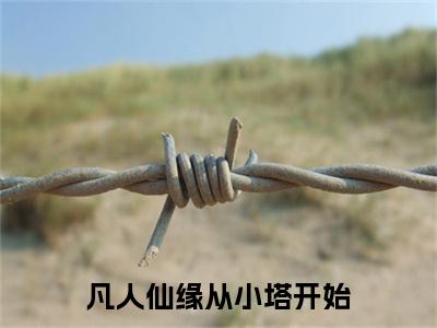 凡人仙缘从小塔开始（韩默/凡人仙缘从小塔开始：结局+番外）全文免费阅读无弹窗大结局_(韩默)最新章节列表_笔趣阁（凡人仙缘从小塔开始/韩默：结局+番外）