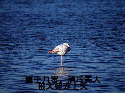 江冷薇：结局+番外（重生九零，清冷美人被大佬宠上天）免费热荐最新全章节阅读_重生九零，清冷美人被大佬宠上天：结局+番外小说大结局免费阅读（江冷薇）