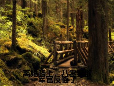 离婚路上，八零禁欲军官反悔了（陆时年李轻媚前文+后续）全文免费阅读无弹窗大结局_(离婚路上，八零禁欲军官反悔了陆时年李轻媚前文+后续)最新章节列表_笔趣阁（陆时年李轻媚前文+后续）