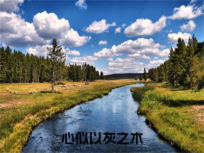 （心似以灰之木）许鹿傅深心似以灰之木最终篇章(许鹿傅深)全书在线无广告高口碑小说