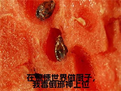 在惊悚世界做厨子，我毒倒邪神上位：结局+番外（在惊悚世界做厨子，我毒倒邪神上位：结局+番外）全文免费阅读无弹窗大结局_在惊悚世界做厨子，我毒倒邪神上位：结局+番外（祁貉安）最新章节列表_笔趣阁（祁貉安）
