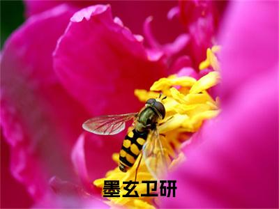 墨玄卫研小说全文免费阅读（卫研墨玄）全文免费阅读无弹窗大结局_墨玄卫研最新章节列表