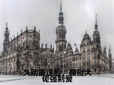 久别重逢后，疯批大佬强制爱小说（池欢司聿）全文免费阅读无弹窗大结局_池欢司聿小说最新章节列表