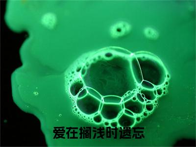 爱在搁浅时遗忘（霍闻驳林知眷）最新章节_爱在搁浅时遗忘全文阅读
