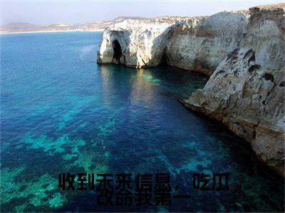 (收到未来信息，吃瓜改命我第一：结局+番外)完整版(虞晚)全文免费阅读无弹窗大结局_收到未来信息，吃瓜改命我第一：结局+番外最新章节列表_笔趣阁虞晚