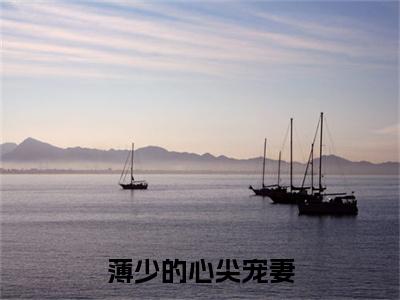苏妍心薄靳言：结局+番外（薄少的心尖宠妻）完结版全文免费阅读_苏妍心薄靳言：结局+番外大结局全章节阅读（薄少的心尖宠妻）