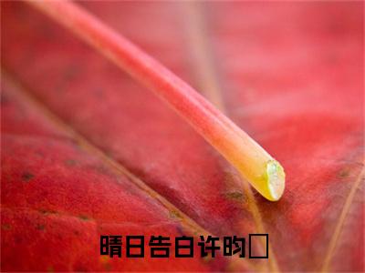 终章小说晴日告白许昀昉完结篇(余今喜许昀昉)已更新+延伸（晴日告白许昀昉）清爽版