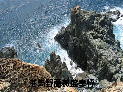 鱼青影盛聿怀全文（港岛野蔷薇盛聿怀）全文免费阅读无弹窗大结局_鱼青影盛聿怀免费最新章节列表_笔趣阁（港岛野蔷薇盛聿怀）