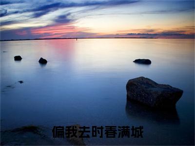 偏我去时春满城（阮清影周时夜）全文免费阅读无弹窗大结局_偏我去时春满城全文完整无删减版免费阅读