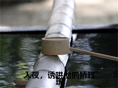 入夜，诱哄他的娇玫瑰舒苒裴津西全文免费阅读_入夜，诱哄他的娇玫瑰无弹窗最新章节