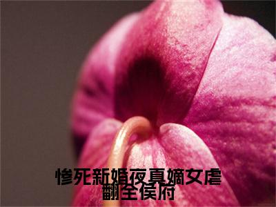 (番外)+(结局)文鸯奚衍(惨死新婚夜真嫡女虐翻全侯府：结局+番外)全文免费阅读无弹窗大结局_(文鸯奚衍)最新章节列表_笔趣阁(文鸯奚衍惨死新婚夜真嫡女虐翻全侯府：结局+番外)
