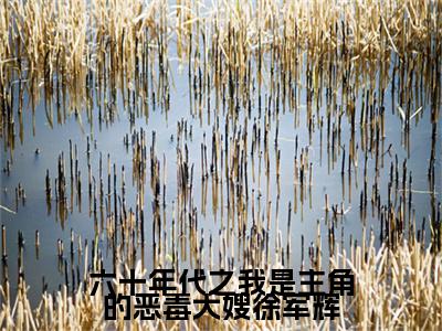 六十年代之我是主角的恶毒大嫂徐军辉：后续+全文黄勤勤徐军辉（黄勤勤徐军辉）全文免费阅读无弹窗大结局_六十年代之我是主角的恶毒大嫂徐军辉：后续+全文黄勤勤徐军辉最新章节列表_笔趣阁（黄勤勤徐军辉）