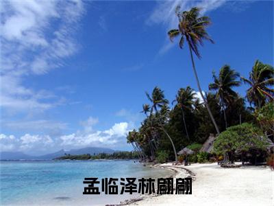 林翩翩孟临泽（孟临泽林翩翩）全文免费阅读无弹窗_林翩翩孟临泽最新小说_笔趣阁