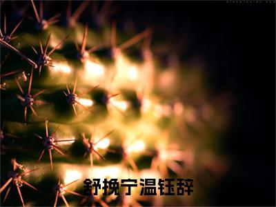 舒挽宁温钰辞（温钰辞舒挽宁）全文免费阅读_（温钰辞舒挽宁）小说舒挽宁温钰辞最新章节阅读