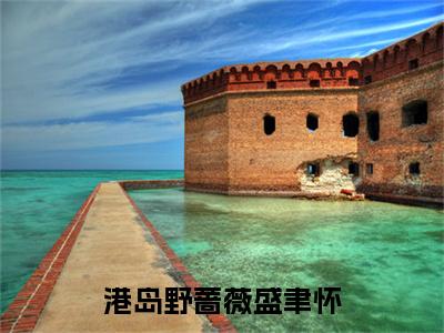 鱼青影盛聿怀：港岛野蔷薇盛聿怀结局+番外(鱼青影盛聿怀)全文免费阅读无弹窗结局_鱼青影盛聿怀+结局最新章节列表_笔趣阁（鱼青影盛聿怀：港岛野蔷薇盛聿怀结局+番外）