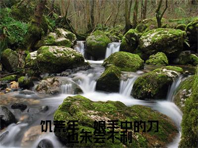 沈茜沈茜：结局+番外（饥荒年，娘手中的刀也未尝不利）小说免费更新在线阅读_沈茜沈茜：结局+番外免费全文阅读笔趣阁（饥荒年，娘手中的刀也未尝不利）