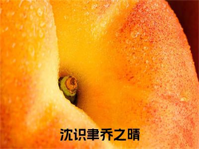 乔之晴沈识聿沈识聿乔之晴小说章节目录+章节前文（沈识聿乔之晴）TXT清爽版在线