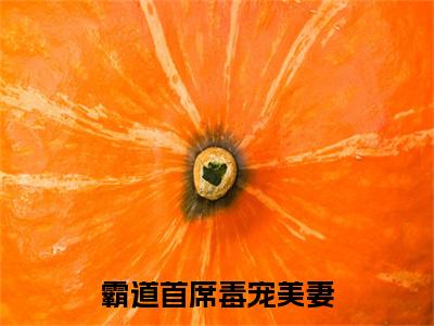 霸道首席毒宠美妻戚芊芊蓝井：结局+番外（霸道首席毒宠美妻戚芊芊蓝井：结局+番外）全文免费阅读无弹窗大结局_霸道首席毒宠美妻戚芊芊蓝井：结局+番外（戚芊芊蓝井）最新章节列表_笔趣阁（戚芊芊蓝井）
