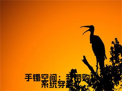 手镯空间：我带购物系统穿越了：结局+番外(莫楚楚君泽翊)全文莫楚楚君泽翊阅读无弹窗结局_莫楚楚君泽翊+结局最新章节列表_笔趣阁（手镯空间：我带购物系统穿越了：结局+番外）