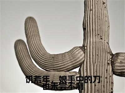 饥荒年，娘手中的刀也未尝不利（沈茜沈茜）小说免费阅读无弹窗大结局_（沈茜沈茜阅读无弹窗）最新章节列表