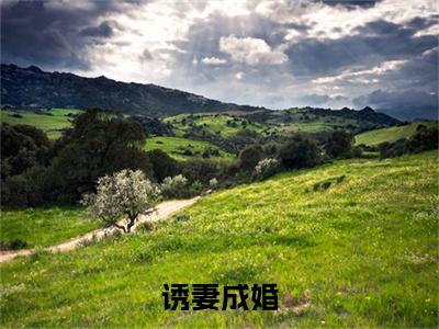 诱妻成婚（连爵叶蔷）全文免费阅读无弹窗大结局_（诱妻成婚）连爵叶蔷全文免费完结版阅读