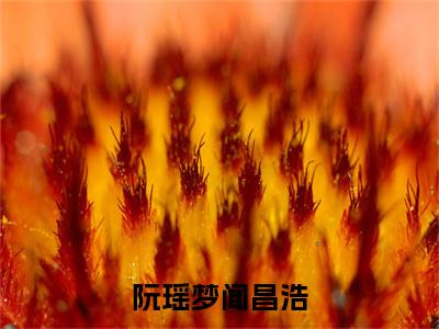 新章速递阮瑶梦闻昌浩是什么小说(阮瑶梦闻昌浩)完本阅读无广告（阮瑶梦闻昌浩）
