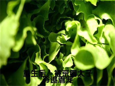 重生后，被京圈太子爷追着宠全局（时落葵）最新推荐_最新推荐重生后，被京圈太子爷追着宠全局（时落葵）