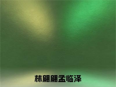 林翩翩孟临泽小说完结篇(林翩翩孟临泽)章节前文+全篇阅读（林翩翩孟临泽）最近更新