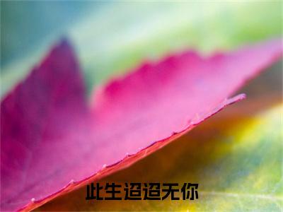 (番外)+(结局)叶君棠乔川（此生迢迢无你：结局+番外+后续）全文免费阅读无弹窗大结局_(叶君棠乔川)最新章节列表_笔趣阁（此生迢迢无你：结局+番外+后续）
