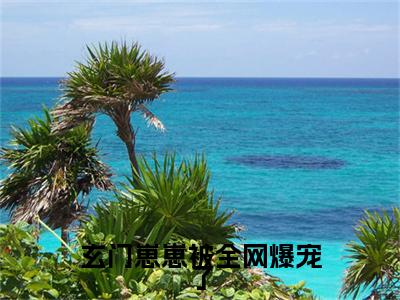 热更章节_笔趣阁（赵安安）玄门崽崽被全网爆宠了赵安安后续全本浏览阅读