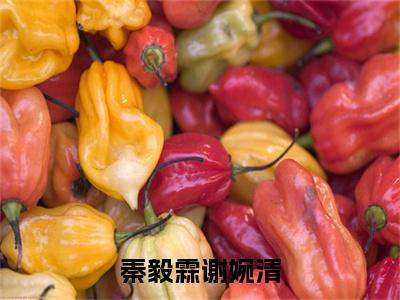 谢婉清秦毅霖小说秦毅霖谢婉清全文免费阅读无弹窗-正版小说（秦毅霖谢婉清）谢婉清秦毅霖全文阅读